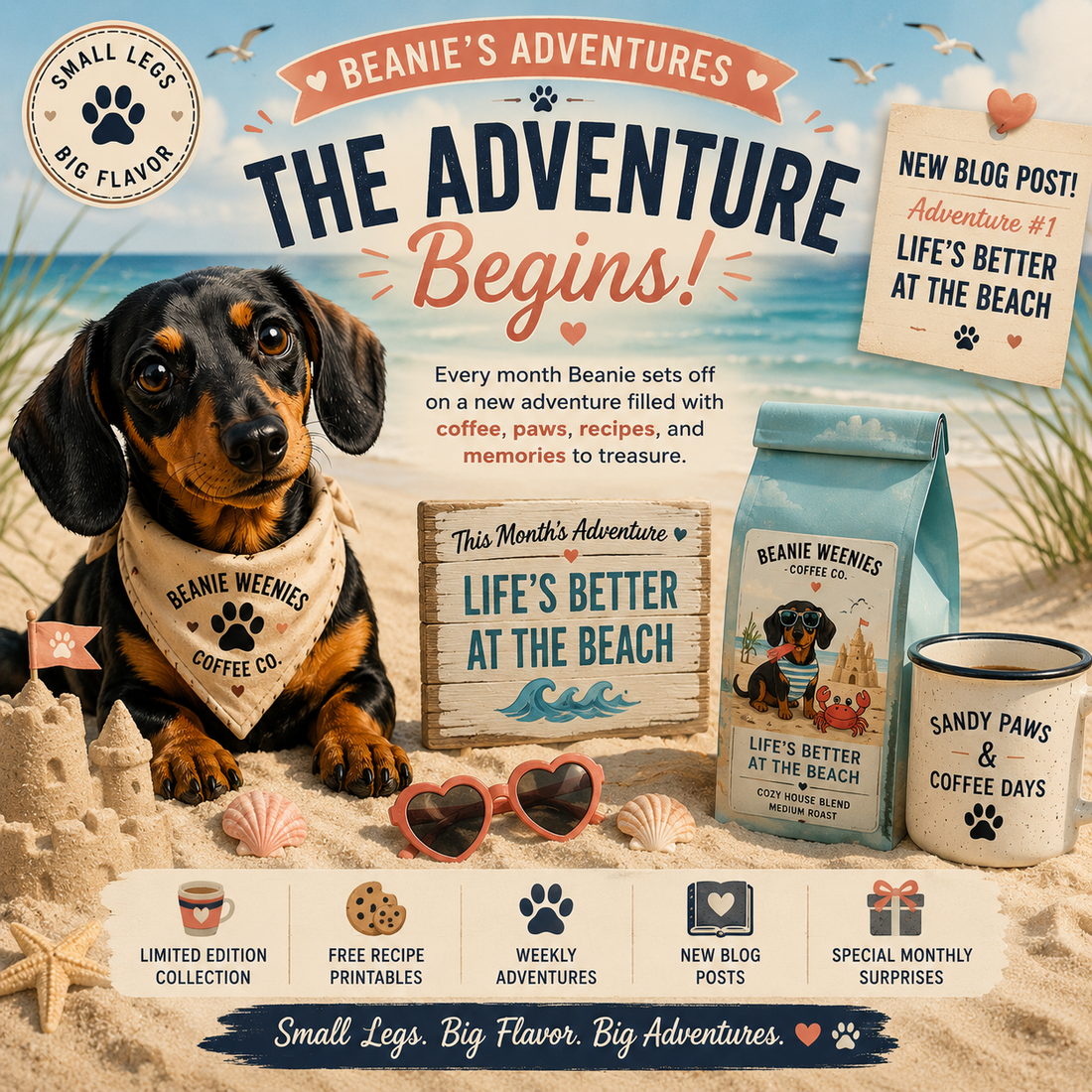 Adventure #1: Life's Better at the Beach